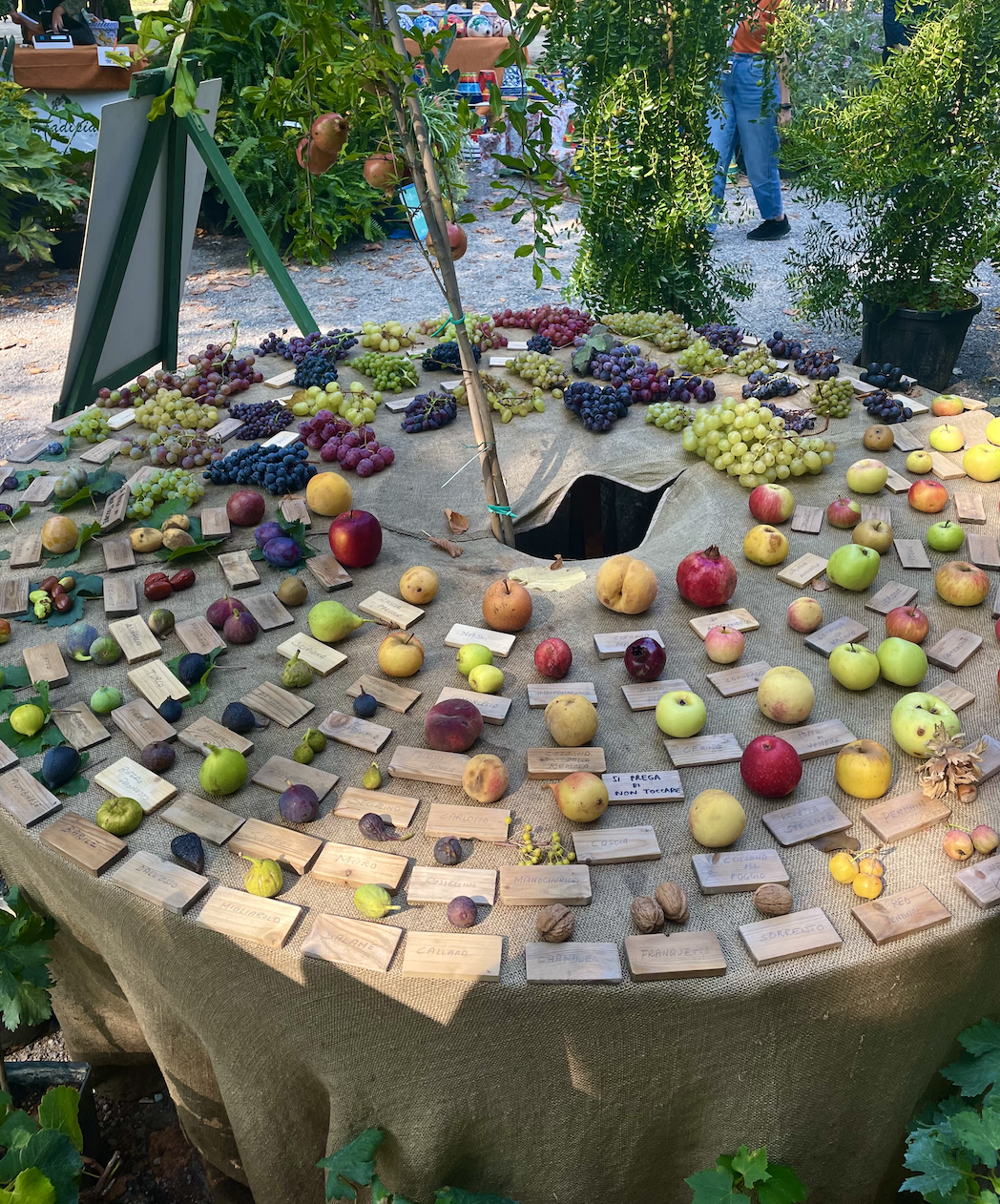 Event: ORTICOLA 2021 is back in town!