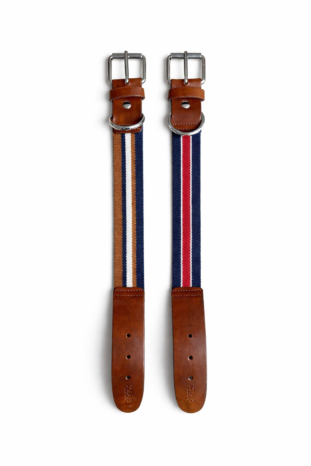 Dog Collar - Le Orsine Loves Solari