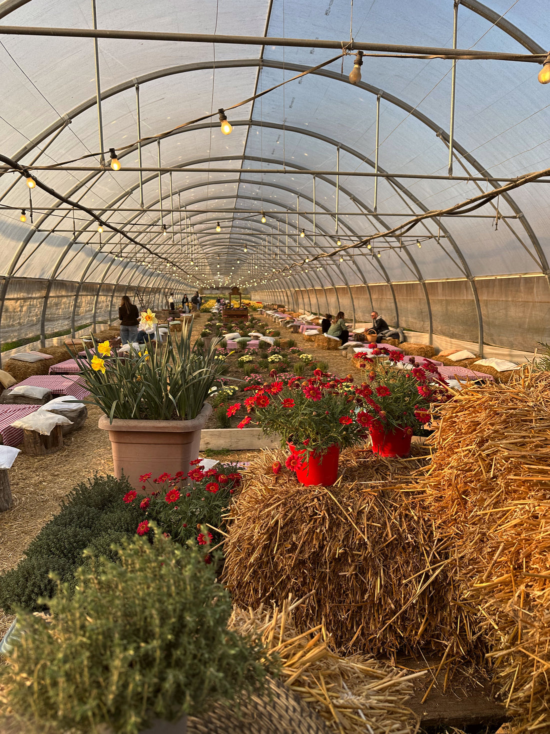 A Taste of Milan: Easter Season