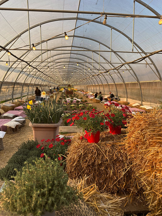 A Taste of Milan: Easter Season