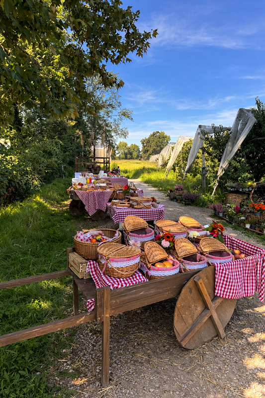 A Taste of Milan: Our Favorite Brunches