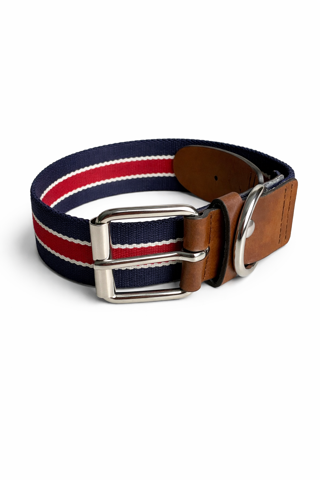 Dog Collar - Le Orsine Loves Solari